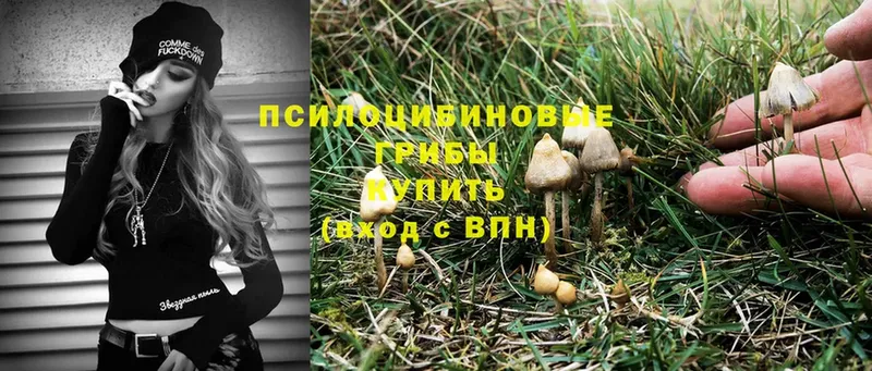 Галлюциногенные грибы MAGIC MUSHROOMS  Алзамай 